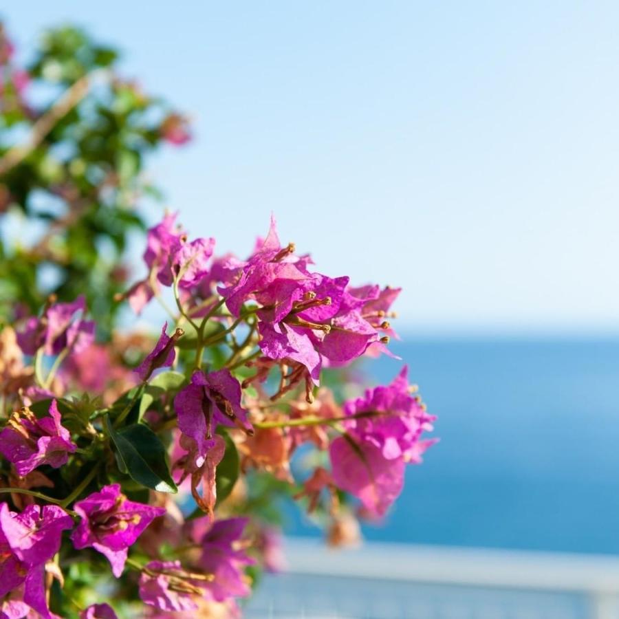 Made In Sicily Santa Tecla Bed and Breakfast Acireale Eksteriør billede